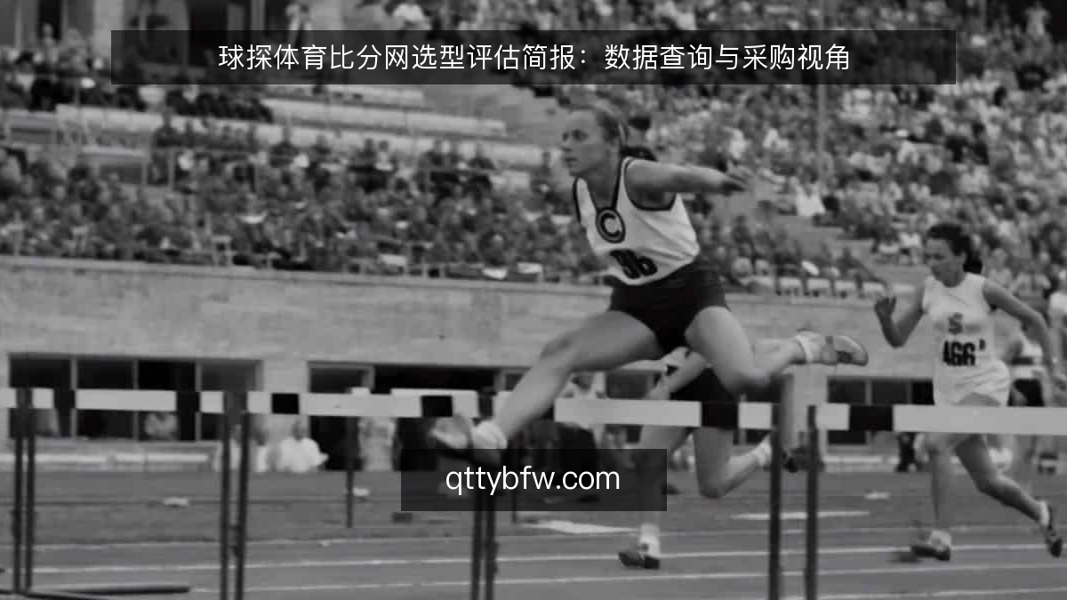 球探体育比分网选型评估简报：数据查询与采购视角