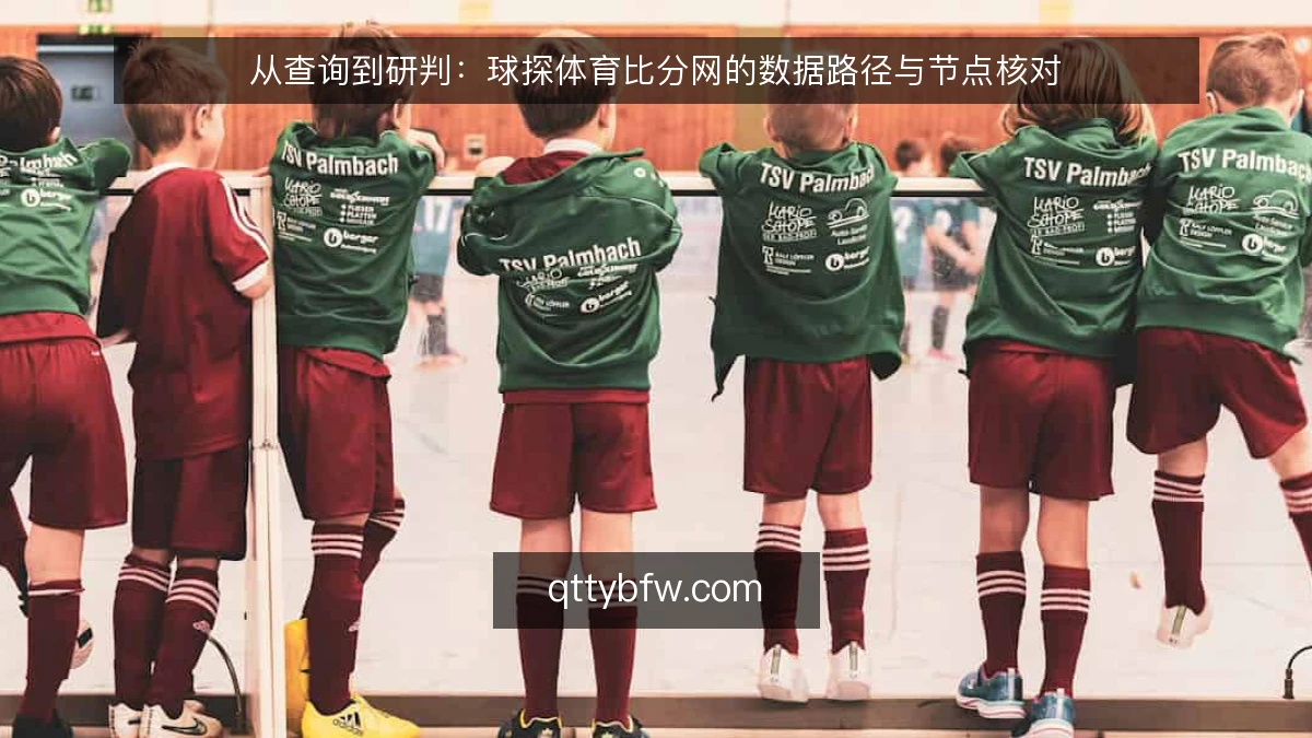 从查询到研判：球探体育比分网的数据路径与节点核对