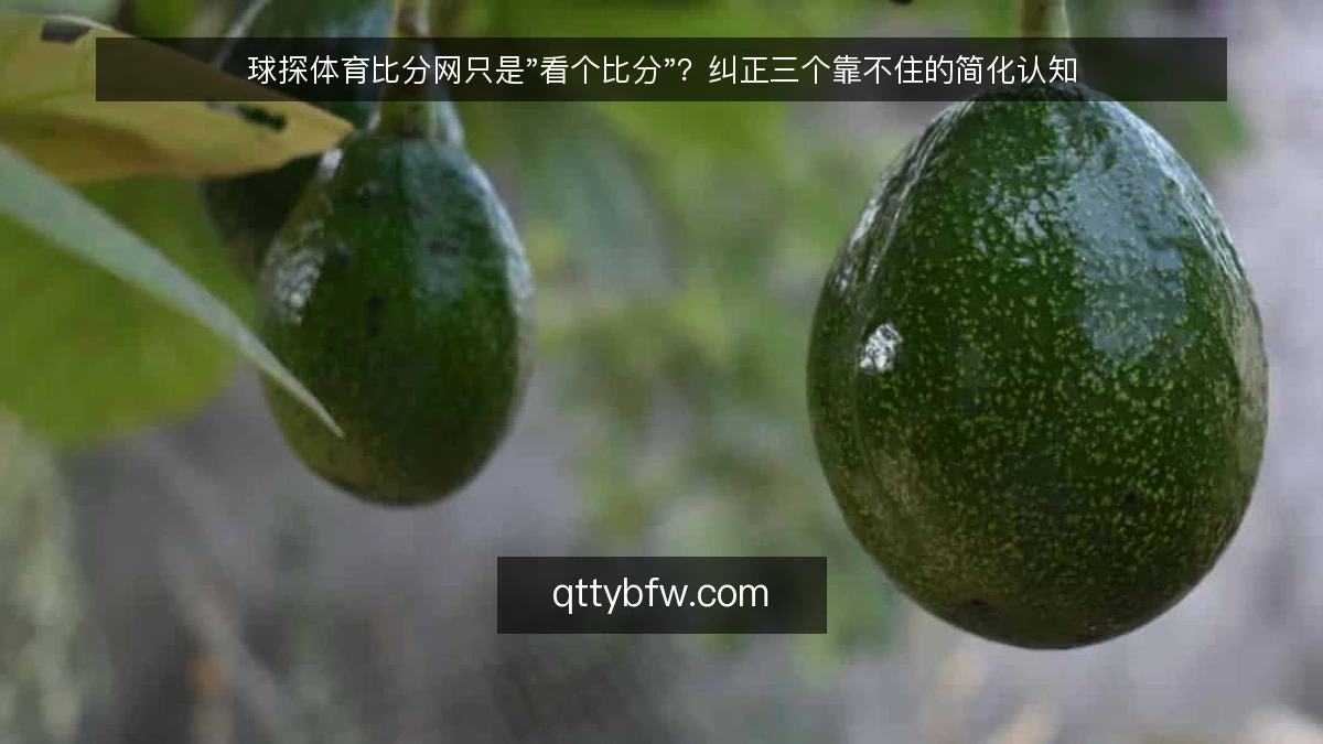 球探体育比分网只是"看个比分"？纠正三个靠不住的简化认知